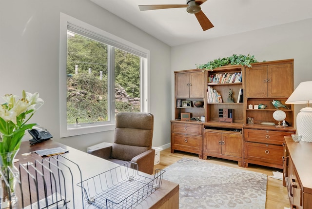 25 N Shore Rd, Windham, NH 03087 - office area featuring ceiling fan, plenty of natural light, and light wood finished floors