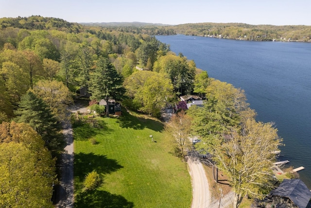 141 Hemmsted Cir # 6, Castleton, VT 05732 - aerial view of a nearby body of water and a forest