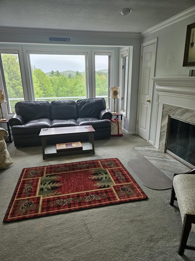 45 Deacon Willey Rd, Campton, NH 03223 - living room with carpet, ornamental molding, plenty of natural light, a premium fireplace, and baseboards