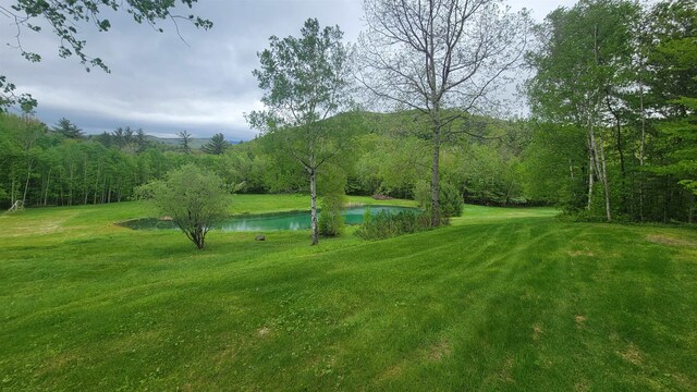 45 Deacon Willey Rd, Campton, NH 03223 - view of property's community with a water view and a lawn