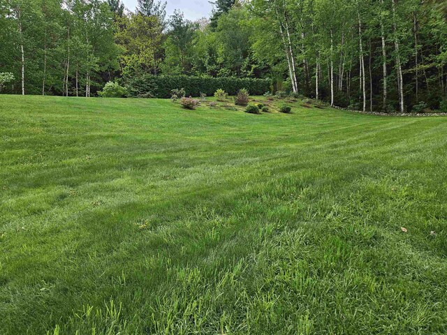 45 Deacon Willey Rd, Campton, NH 03223 - view of grassy yard with a wooded view