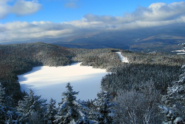 24 Yellow Birch Cir, Lincoln, NH 03251