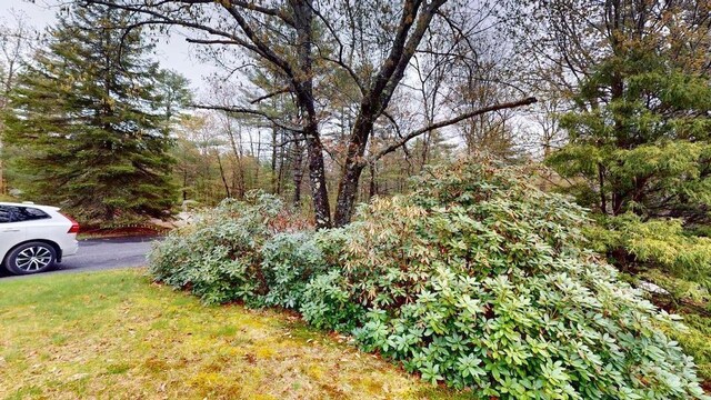 1862 Hooksett Rd, Hooksett, NH 03106 - view of yard