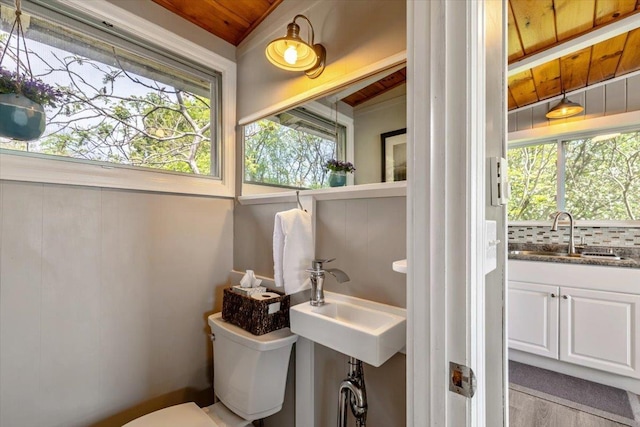 235 Pleasant View Dr, North Hero, VT 05474 - half bath featuring a sink, toilet, wooden ceiling, tasteful backsplash, and wood finished floors