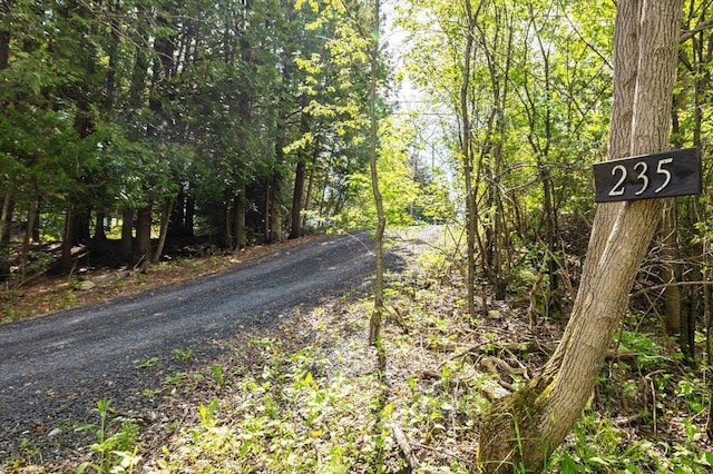 235 Pleasant View Dr, North Hero, VT 05474 - view of road featuring a wooded view