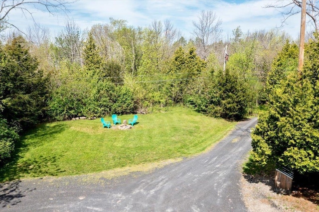 235 Pleasant View Dr, North Hero, VT 05474 - aerial view of a heavily wooded area