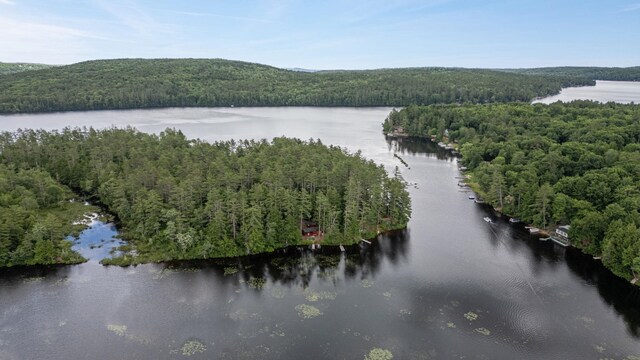 239 NE Pond Rd, Milton, NH 03851 - water view featuring a forest