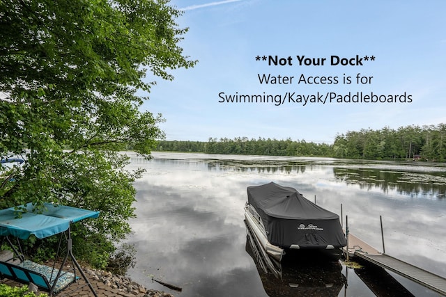 239 NE Pond Rd, Milton, NH 03851 - water view with a heavily wooded area