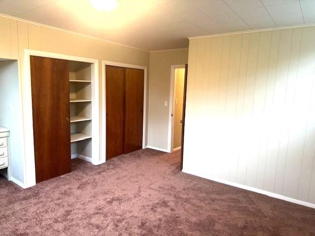 54 E Center St, Rutland City, VT 05701 - unfurnished bedroom with multiple closets, carpet, wood walls, and crown molding