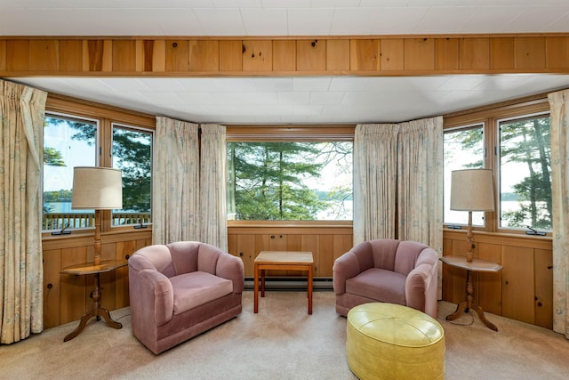 74 Keewaydin Rd, Wolfeboro, NH 03894 - sitting room featuring carpet flooring, plenty of natural light, and wood walls