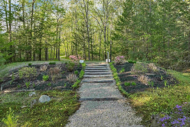 74 Keewaydin Rd, Wolfeboro, NH 03894 - view of yard featuring a view of trees