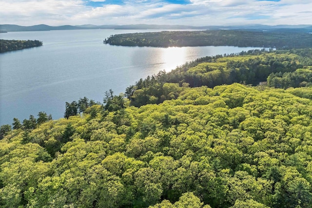 74 Keewaydin Rd, Wolfeboro, NH 03894 - drone / aerial view of a water and mountain view and a heavily wooded area