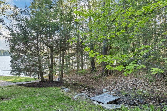 74 Keewaydin Rd, Wolfeboro, NH 03894 - view of yard