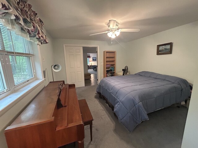 7 Juniper Ridge Rd, Exeter, NH 03833 - bedroom with carpet floors and ceiling fan