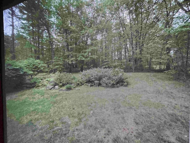 7 Juniper Ridge Rd, Exeter, NH 03833 - view of yard with a forest view
