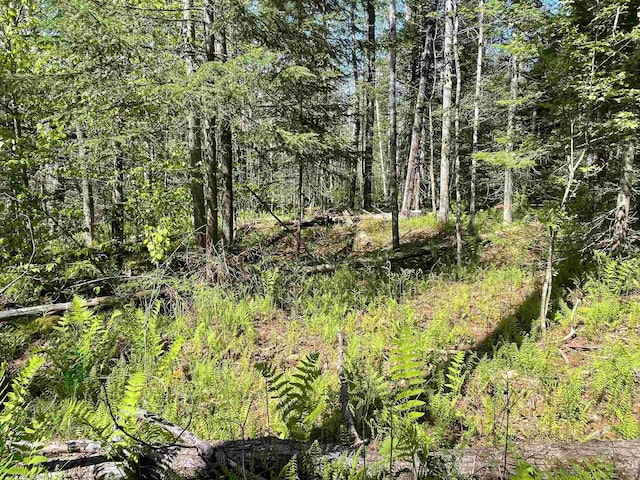MAP202-LOT39 Parker Rd, Bethlehem, NH 03574