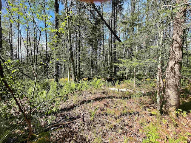MAP202-LOT39 Parker Rd, Bethlehem, NH 03574