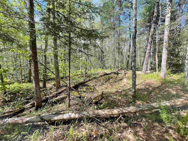 MAP202-LOT39 Parker Rd, Bethlehem, NH 03574