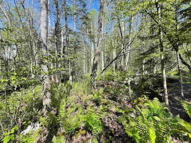MAP202-LOT39 Parker Rd, Bethlehem, NH 03574