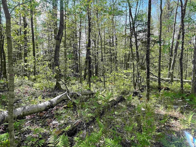 MAP202-LOT39 Parker Rd, Bethlehem, NH 03574