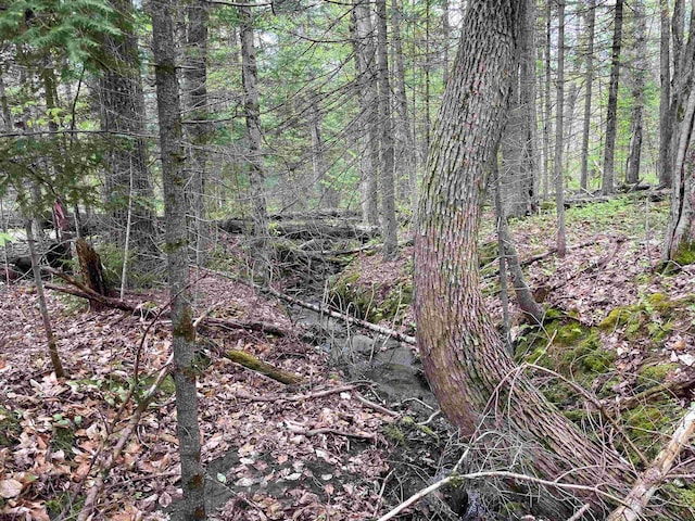 MAP202-LOT39 Parker Rd, Bethlehem, NH 03574