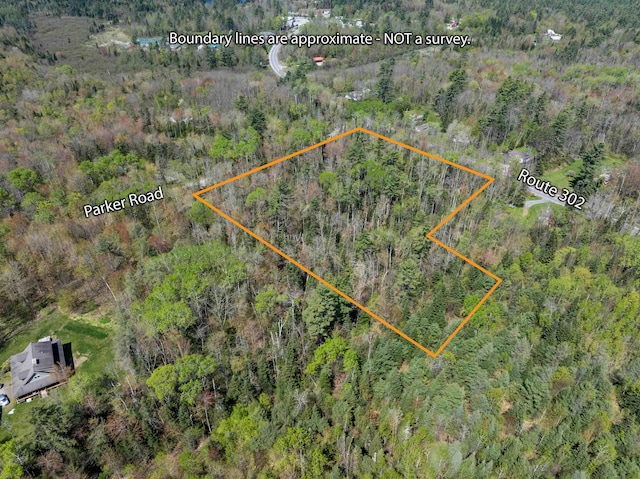 MAP202-LOT39 Parker Rd, Bethlehem, NH 03574