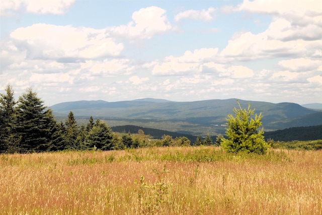 360 Coles Rd, Westmore, VT 05860 - mountain view