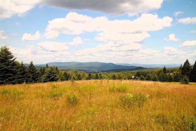 360 Coles Rd, Westmore, VT 05860 - mountain view