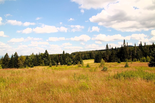 360 Coles Rd, Westmore, VT 05860 - view of tree filled area featuring a view of rural / pastoral area