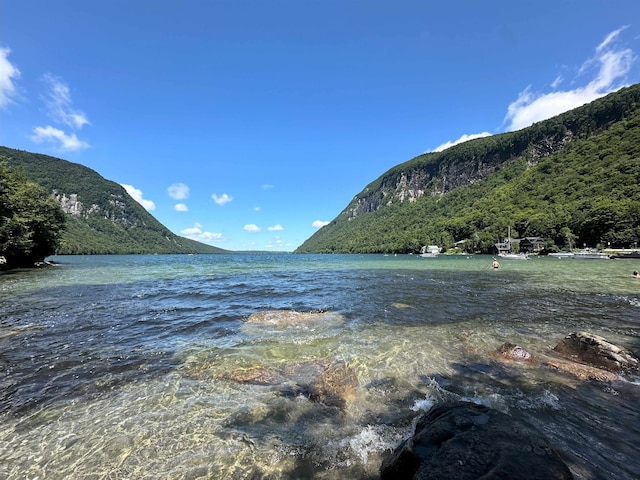 360 Coles Rd, Westmore, VT 05860 - water view with mountains