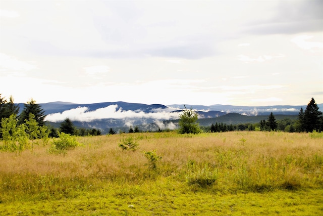 360 Coles Rd, Westmore, VT 05860 - view of mountain backdrop