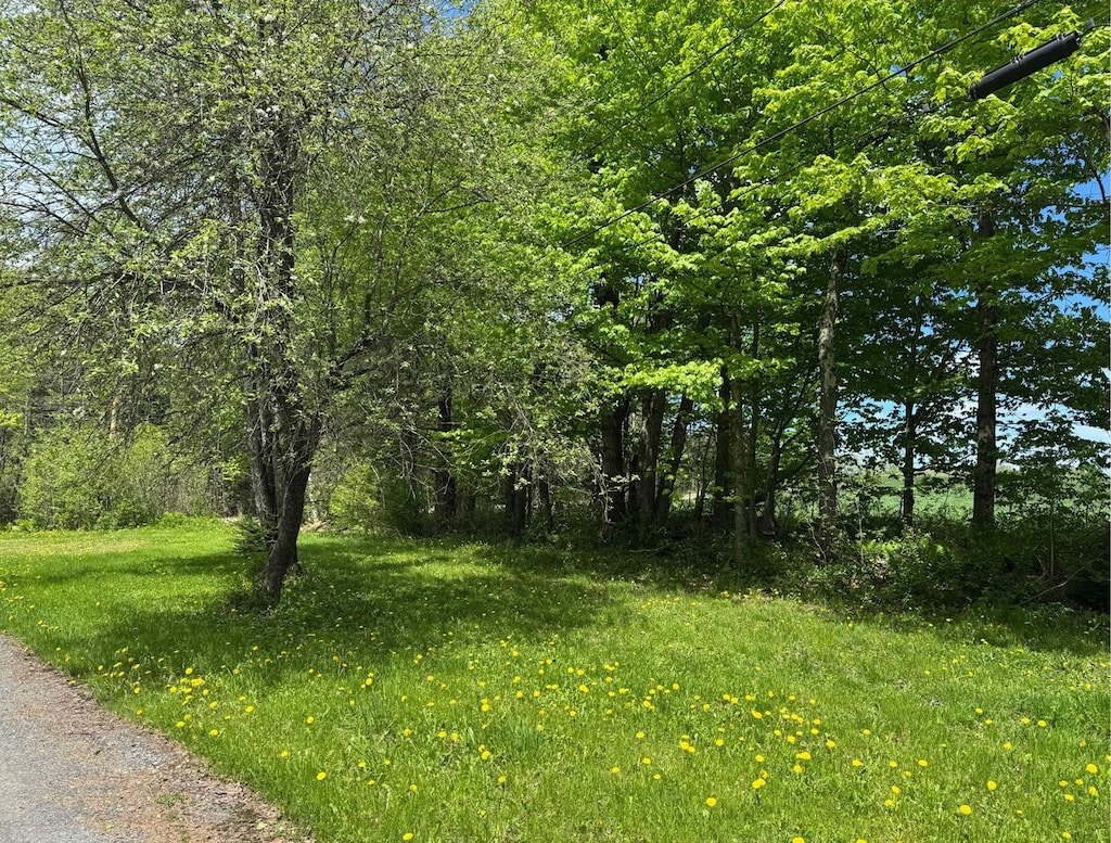 24 A Frame Dr, Burke, VT 05871