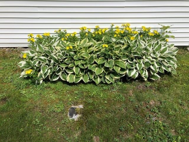 5100 Rte 100, Plymouth, VT 05056 - exterior view