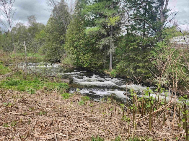 16 Northridge Rd, Burke, VT 05871 - view of wooded area