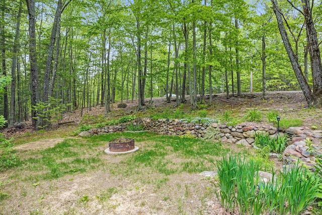 37 Thorndike Rd, Weare, NH 03281 - view of yard with a fire pit