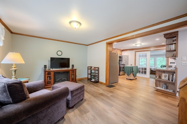 12 Emerald Cir, Goffstown, NH 03045 - living area featuring light wood-style flooring, crown molding, and baseboards