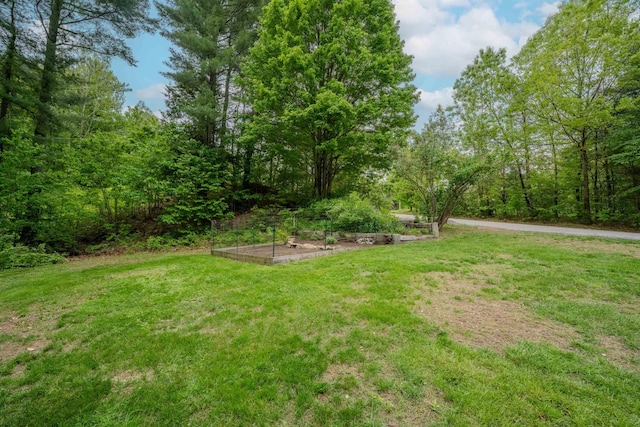 12 Emerald Cir, Goffstown, NH 03045 - view of grassy yard featuring a vegetable garden