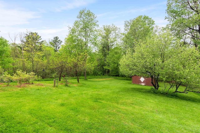 312 Browns Trce, Jericho, VT 05465 - view of grassy yard with an outdoor structure