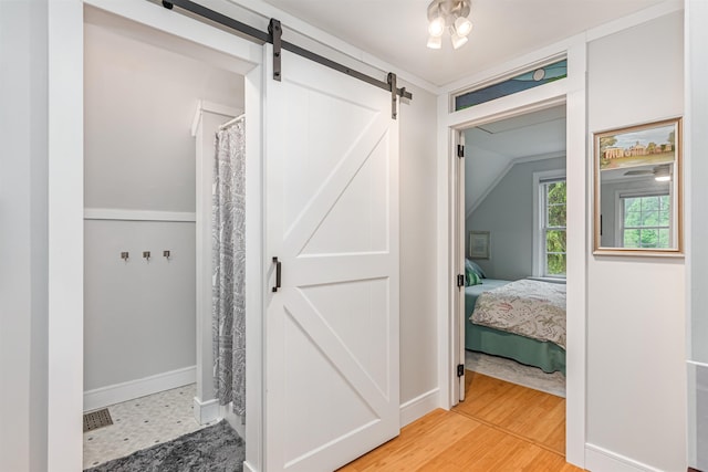 312 Browns Trce, Jericho, VT 05465 - corridor with a barn door, baseboards, and light wood-style flooring