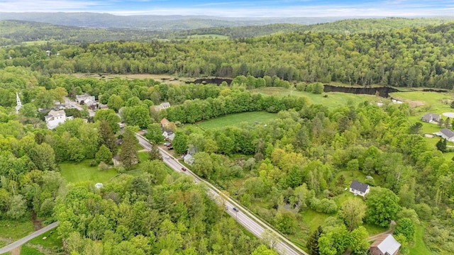312 Browns Trce, Jericho, VT 05465 - view of property location featuring a heavily wooded area