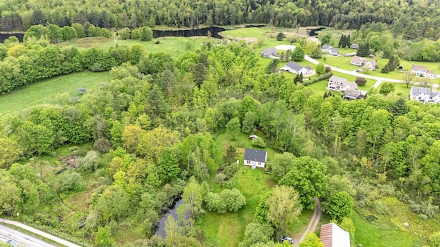 312 Browns Trce, Jericho, VT 05465 - aerial view of a forest