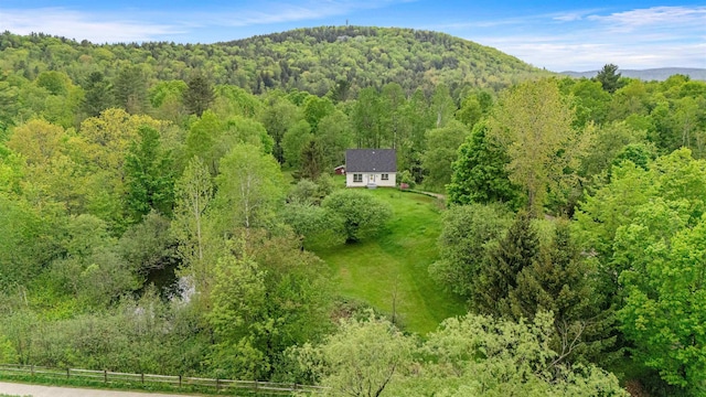 312 Browns Trce, Jericho, VT 05465 - view of subject property featuring a forest