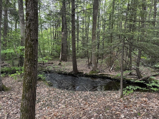 10 Irving Dr, Weare, NH 03281 - view of woods