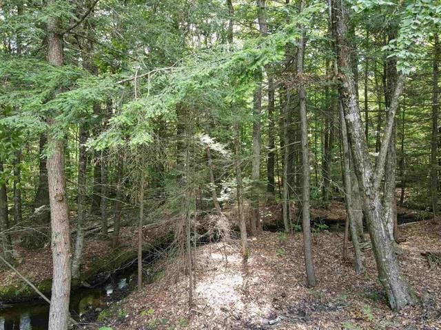 10 Irving Dr, Weare, NH 03281 - view of woods