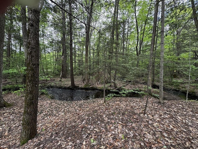 10 Irving Dr, Weare, NH 03281 - view of local wilderness