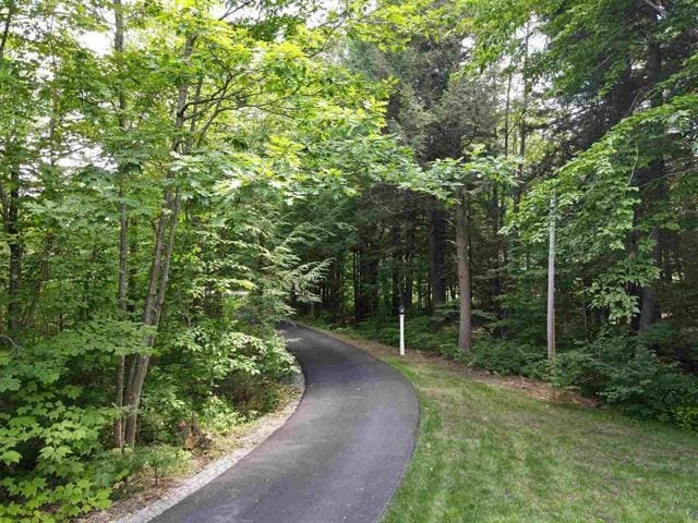 10 Irving Dr, Weare, NH 03281 - view of road featuring a view of trees