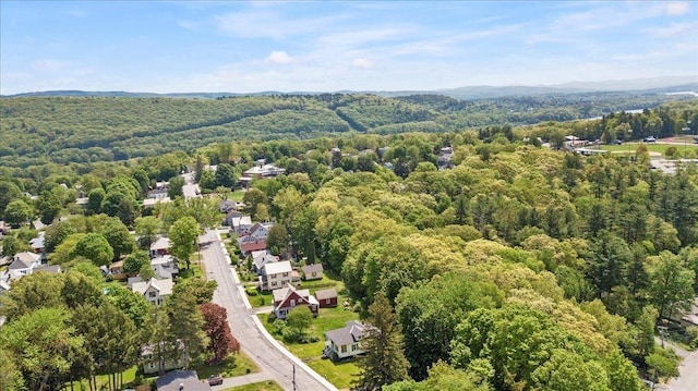 158 Clark Ave, Brattleboro, VT 05301 - drone / aerial view of a forest