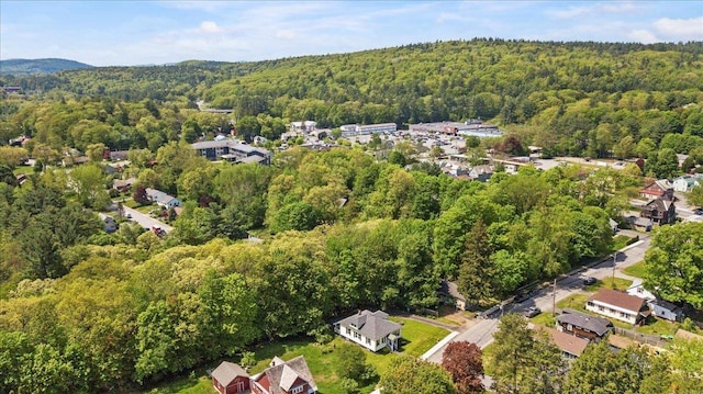 158 Clark Ave, Brattleboro, VT 05301 - aerial overview of property's location featuring a heavily wooded area