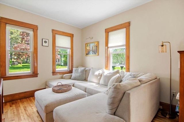 158 Clark Ave, Brattleboro, VT 05301 - living room featuring plenty of natural light, light wood-style flooring, and baseboards
