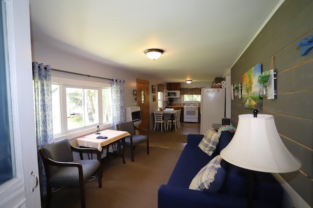 78 Daniels Pond Rd, Glover, VT 05839 - view of carpeted living room